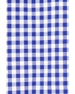 Camicia fancy a quadretti bianchi e blu button down_0