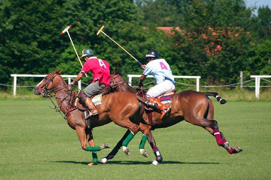 La polo: storia, origine e tessuti del capo must have per la bella stagione